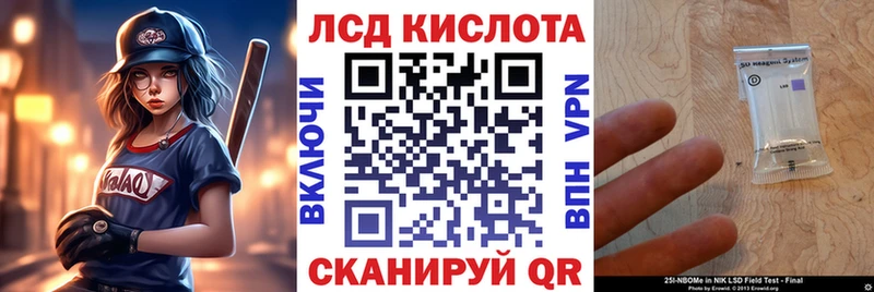 Наркотические марки 1,5мг купить закладку блэк спрут как зайти Новоалександровск
