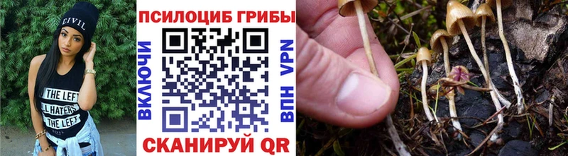 mega вход  Новоалександровск  Псилоцибиновые грибы GOLDEN TEACHER  наркошоп 